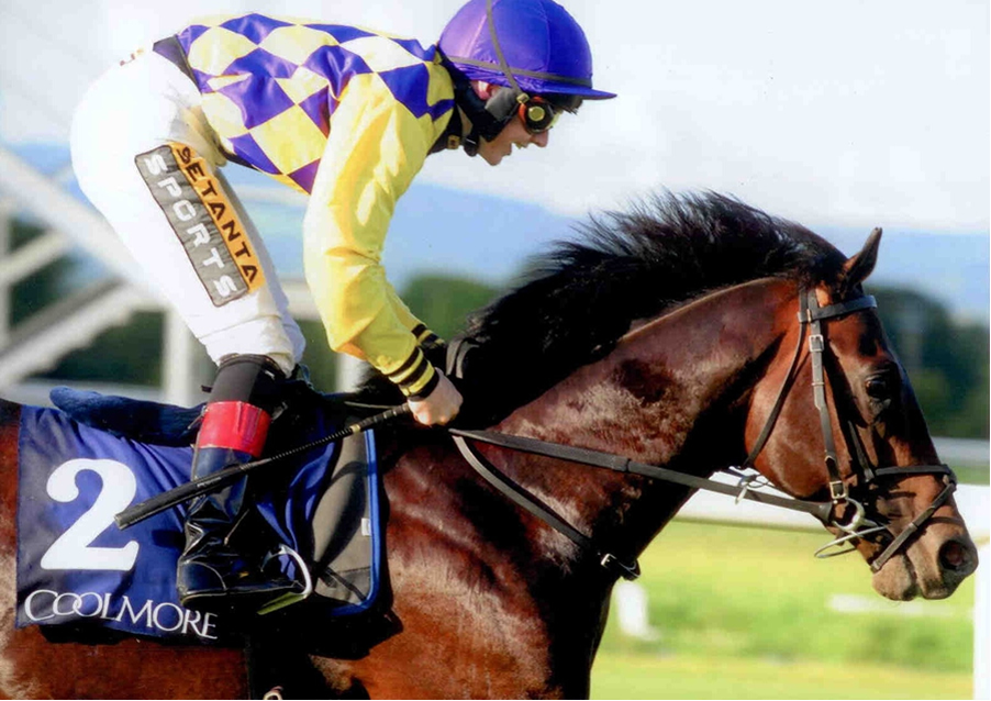 Convergence - Canford Cliffs Stks Listed Tipperary 8th Aug 2014